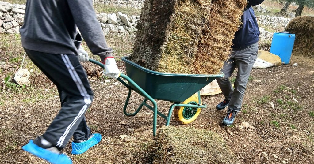 Team building all'aperto: colleghi al lavoro con carriola e balle di fieno nell'azienda agricola di Controra